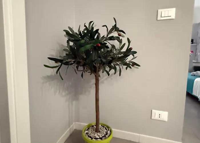 Lejlighed Da Nonna Lia